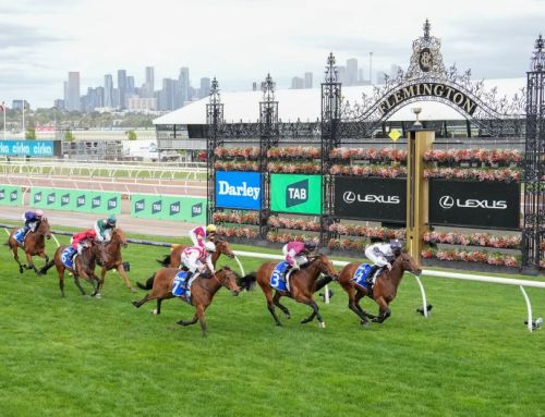 Hellbent colt wins Listed Maribyrnong Trial