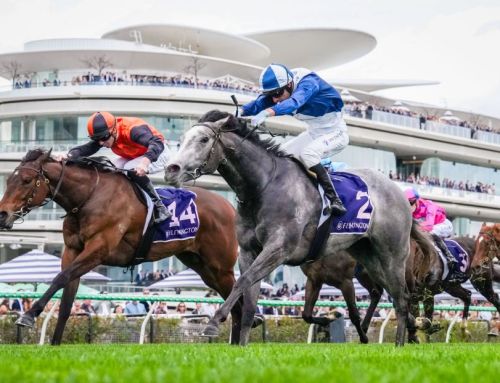 My Gladiola rings up Invincible Stakes double