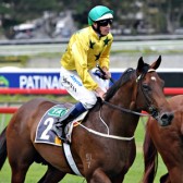Yarraman Cheer Slipper Runners