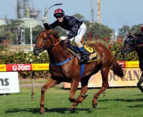 Randwick Guineas Next for Magic Colt