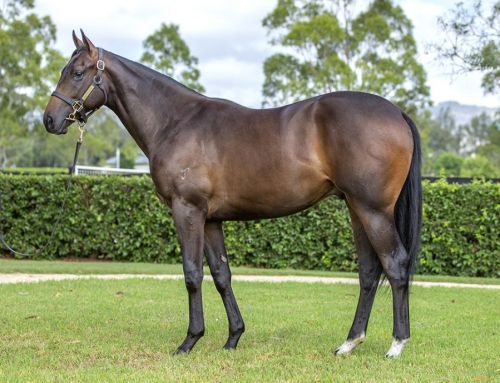 Lot 131: I Am Invincible x Silently colt