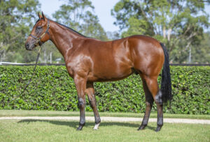 2026 Inglis Easter – Lot 232