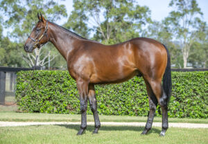 2026 Inglis Easter – Lot 347