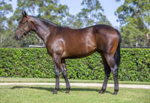 2026 Inglis Easter – Lot 361