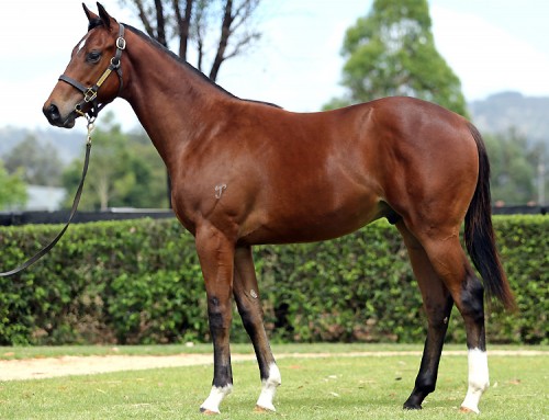Lot 401 – Exceed And Excel x Madame Pedrille – Colt