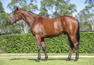2026 Inglis Easter – Lot 471