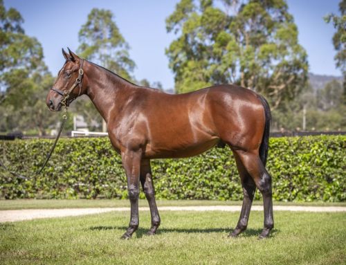 Yarraman Graduate Marwooba Wins Listed Taj Rossi Final