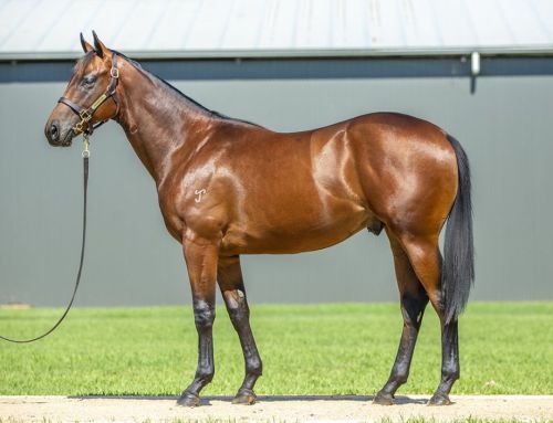 Lot 701: Capitalist x Sweeping Statement – colt