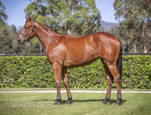 Lot 757: I Am Invincible x Overstep, filly