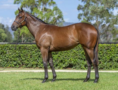 Lot 818: I Am Invincible x Just Fabulous filly