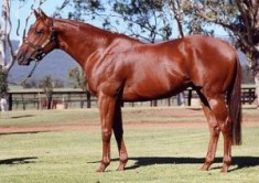New Metropolitan Winner for Magic Albert NULL