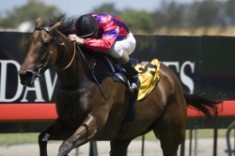 New Stakes-Winner for Magic Albert