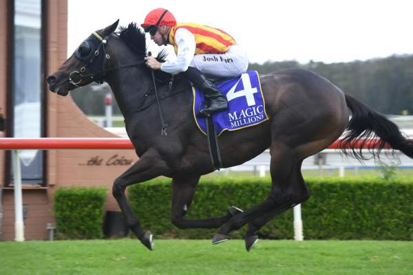 another-magic-win-for-problem-solver-yarraman-park-stud